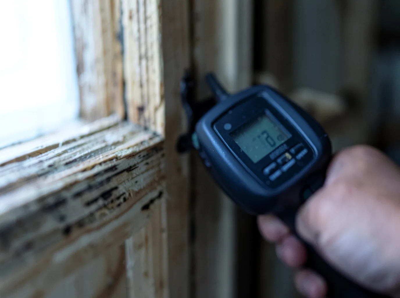 Moisture Inspection And Documentation in Strawberry Plains, TN